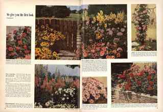 Better Homes & Gardens January 1949 Magazine Article: Page 52