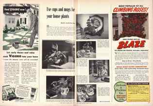 Better Homes & Gardens January 1949 Magazine Article: Use cups and mugs for your house plants