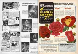 Better Homes & Gardens January 1949 Magazine Article: Page 120