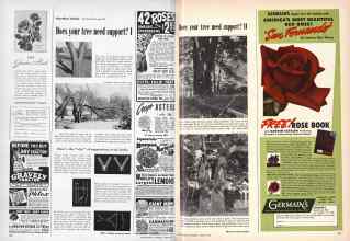 Better Homes & Gardens January 1949 Magazine Article: Page 126