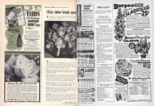 Better Homes & Gardens January 1949 Magazine Article: Page 128