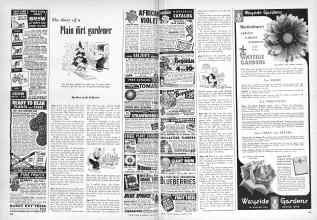 Better Homes & Gardens January 1949 Magazine Article: The diary of a Plain dirt gardener