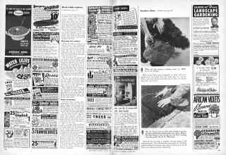 Better Homes & Gardens January 1949 Magazine Article: Page 140