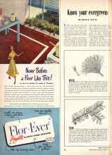 Better Homes & Gardens February 1949 Magazine Article: Know your evergreens