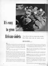 Better Homes & Gardens February 1949 Magazine Article: It's easy to grow African-violets