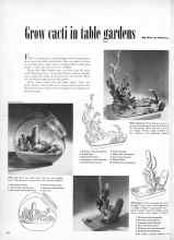 Better Homes & Gardens February 1949 Magazine Article: Grow cacti in table gardens