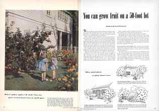 Better Homes & Gardens February 1949 Magazine Article: You can grow fruit on a 50-foot lot