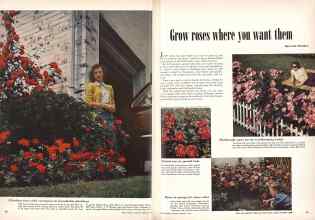 Better Homes & Gardens February 1949 Magazine Article: Page 52