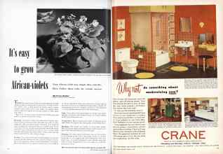 Better Homes & Gardens February 1949 Magazine Article: Page 116