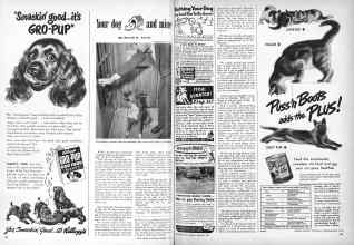 Better Homes & Gardens February 1949 Magazine Article: Your dog and mine