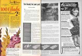 Better Homes & Gardens February 1949 Magazine Article: New beauty for your yard