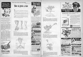 Better Homes & Gardens February 1949 Magazine Article: Page 210