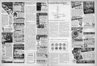 Better Homes & Gardens February 1949 Magazine Article: Page 218