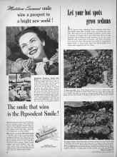 Better Homes & Gardens March 1949 Magazine Article: Let your hot spots grow sedums
