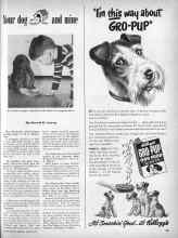 Better Homes & Gardens March 1949 Magazine Article: Your dog and mine