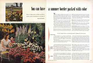 Better Homes & Gardens March 1949 Magazine Article: You can have a summer border packed with color