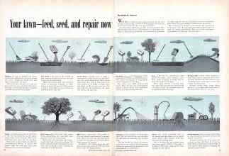 Better Homes & Gardens March 1949 Magazine Article: Your lawn--feed, seed, and repair now