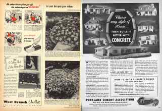 Better Homes & Gardens March 1949 Magazine Article: Page 204