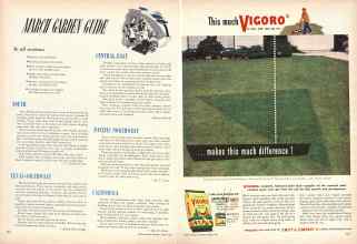 Better Homes & Gardens March 1949 Magazine Article: Page 224