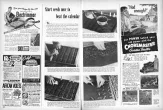 Better Homes & Gardens March 1949 Magazine Article: Start seeds now to beat the calendar