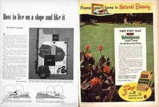 Better Homes & Gardens March 1949 Magazine Article: Page 240