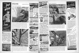 Better Homes & Gardens March 1949 Magazine Article: Page 244