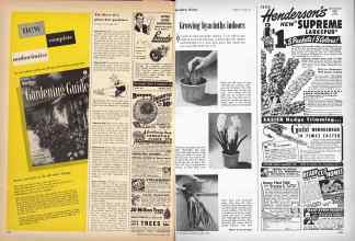 Better Homes & Gardens March 1949 Magazine Article: Page 248