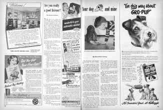 Better Homes & Gardens March 1949 Magazine Article: Page 260