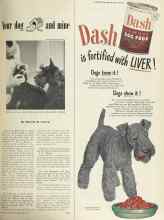 Better Homes & Gardens April 1949 Magazine Article: Your dog and mine