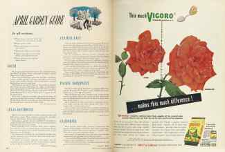 Better Homes & Gardens April 1949 Magazine Article: Page 278