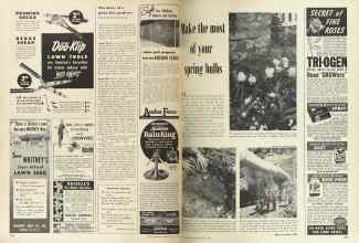 Better Homes & Gardens April 1949 Magazine Article: Page 294