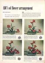 Better Homes & Gardens May 1949 Magazine Article: ABC's of flower arrangement