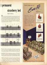 Better Homes & Gardens May 1949 Magazine Article: A permanent strawberry bed