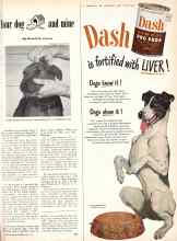 Better Homes & Gardens May 1949 Magazine Article: Your dog and mine