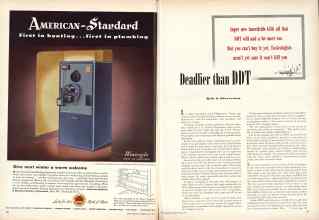 Better Homes & Gardens May 1949 Magazine Article: Page 38