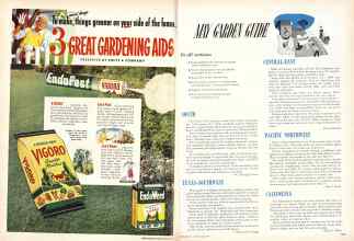 Better Homes & Gardens May 1949 Magazine Article: Page 262