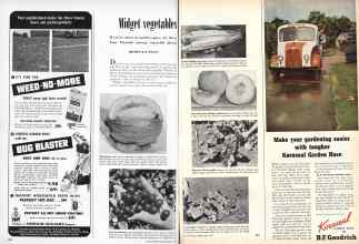 Better Homes & Gardens May 1949 Magazine Article: Midget vegetables