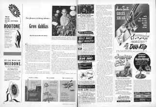 Better Homes & Gardens May 1949 Magazine Article: For flowers to brag about--Grow dahlias