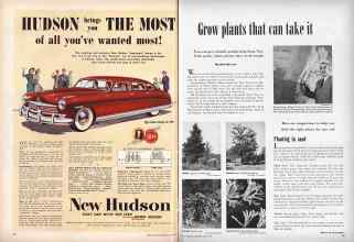 Better Homes & Gardens June 1949 Magazine Article: Page 160
