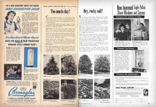 Better Homes & Gardens June 1949 Magazine Article: Page 162