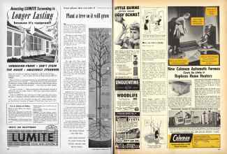 Better Homes & Gardens June 1949 Magazine Article: Page 166