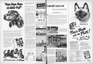 Better Homes & Gardens June 1949 Magazine Article: Page 208