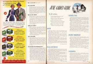 Better Homes & Gardens June 1949 Magazine Article: Page 212
