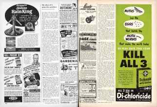 Better Homes & Gardens June 1949 Magazine Article: Page 218