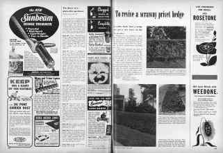 Better Homes & Gardens June 1949 Magazine Article: Page 224