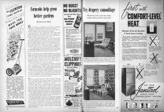 Better Homes & Gardens June 1949 Magazine Article: Page 230