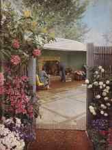 Better Homes & Gardens July 1949 Magazine Article: Lots of space to live in