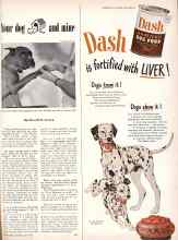 Better Homes & Gardens July 1949 Magazine Article: Your dog and mine