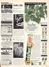 Better Homes & Gardens July 1949 Magazine Article: Garden clinic