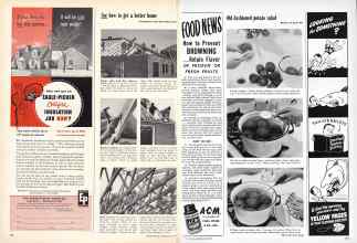 Better Homes & Gardens July 1949 Magazine Article: Page 102